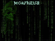 MORPHEUS WEBSITE